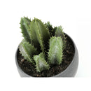  Monarch I 9587 Artificial Plants Indoor 3pcs Succulent IMAGE 8