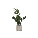 Monarch I 9500 20"H - Indoor Zz In A 5" Cement Pot IMAGE 2