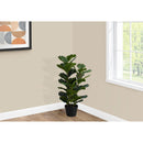  Monarch I 9511 32"H - Indoor Fiddle In A 6" Pot IMAGE 1