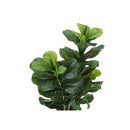 Monarch Home Decor Artificial Plants I 9540 IMAGE 5